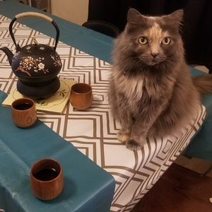 Meet your Posher, Lori